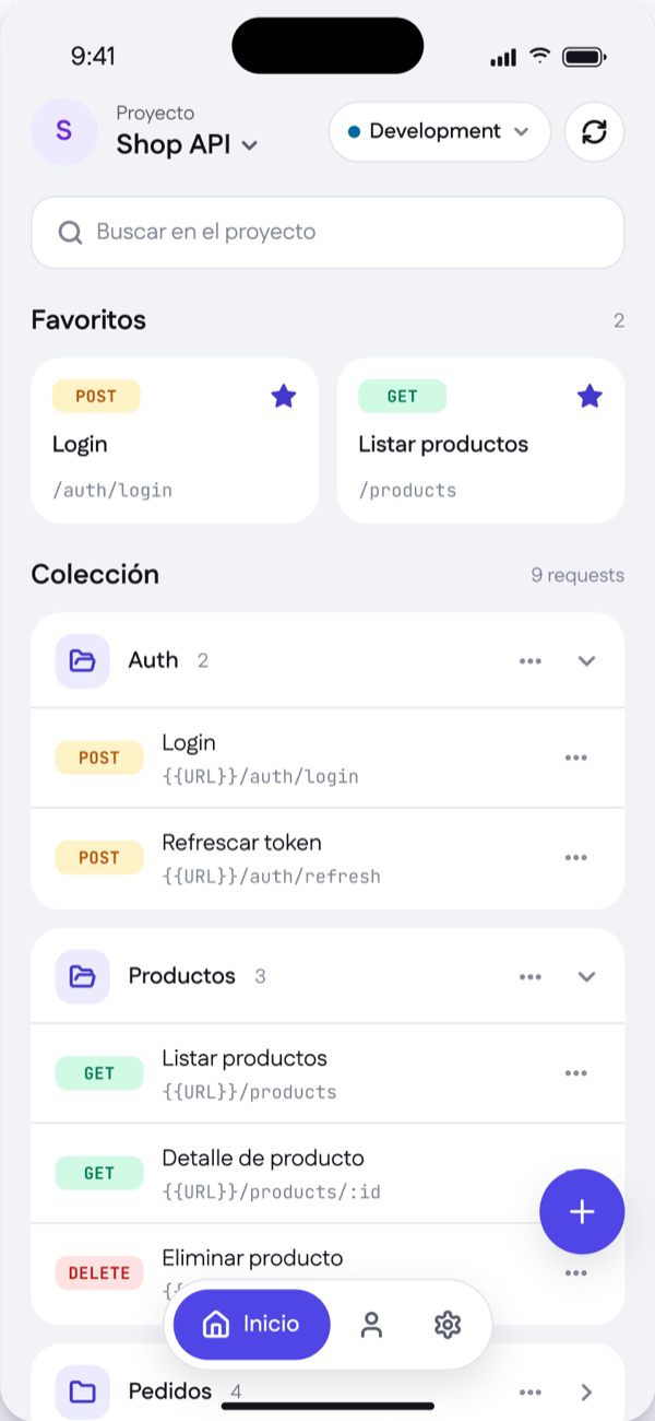 Pantalla de inicio de requfy con las carpetas y requests de un proyecto